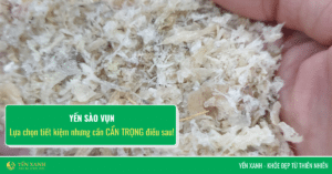 yến vụn