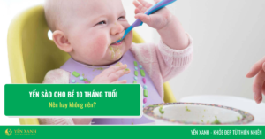 Bé 10 tháng ăn yến sào được không