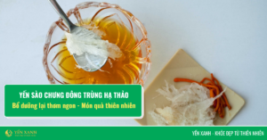 yến sào đông trùng hạ thảo