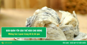 Bảo quản yến sào