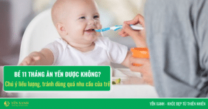 Bé 11 tháng ăn yến được không?