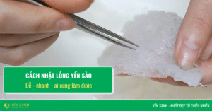 cách nhặt lông yến sào