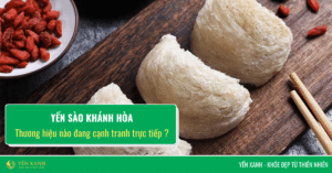 giá yến sào Khánh Hòa