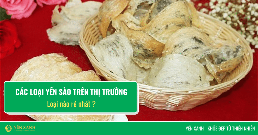 Các loại yến sào trên thị trường