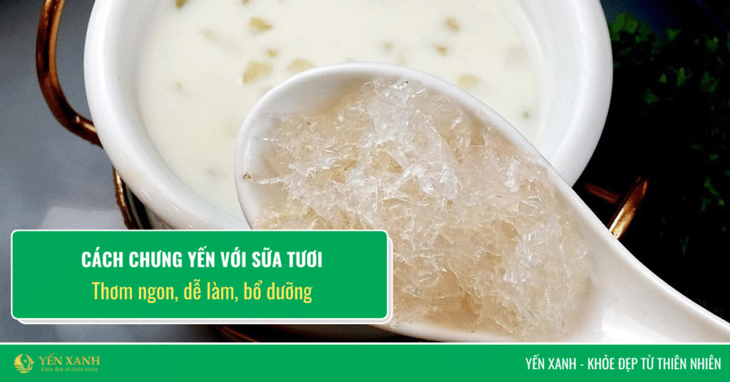 Cách chưng yến với sữa tươi